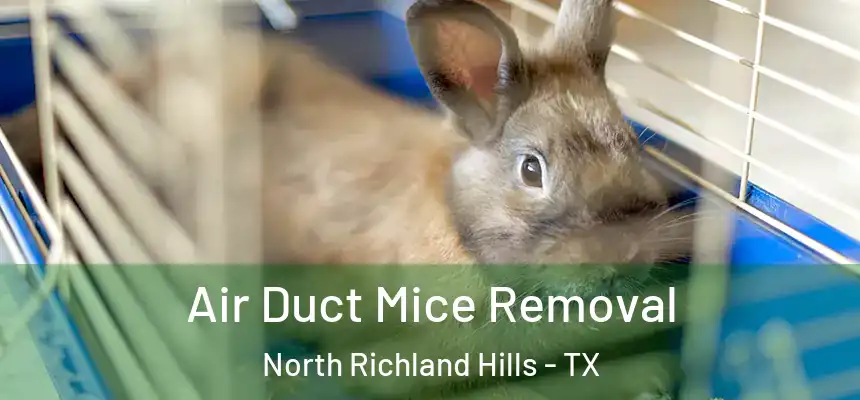 Air Duct Mice Removal North Richland Hills - TX