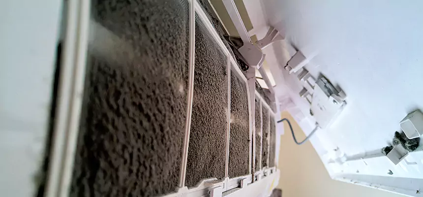 Preventive Air Duct Bacteria Removal in North Richland Hills