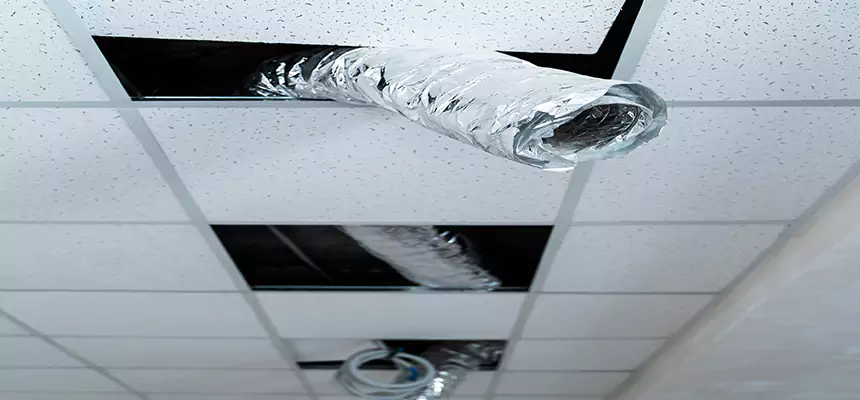 Affordable HVAC Sanitizing After Pest Removal in North Richland Hills