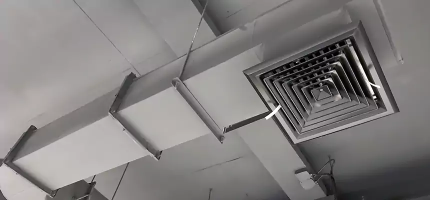 Our Pest Removal From Ducts Services in North Richland Hills, TX