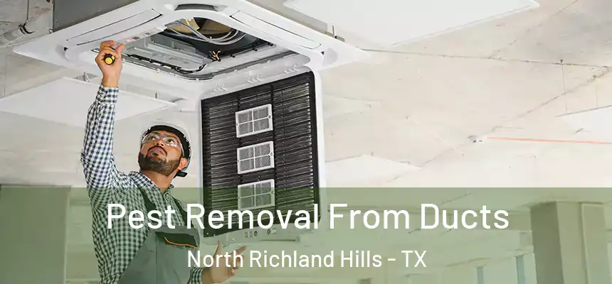 Pest Removal From Ducts North Richland Hills - TX