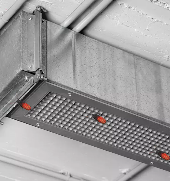 About Air Duct Cockroach Removal in North Richland Hills, TX