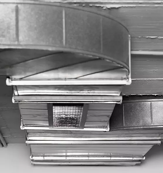 Professional Air Duct Pest Removal in North Richland Hills, TX