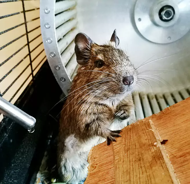 Why Homeowners & Businesses Trust Us North Richland Hills, TX